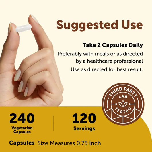 Bariatric Multivitamin - 45mg Iron Methylated Capsules